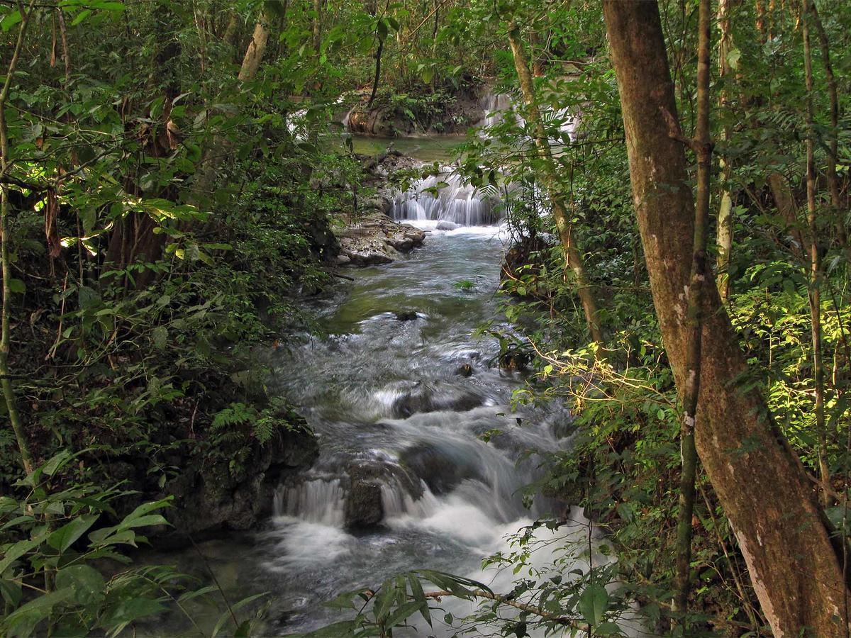 Campamento Rio Lacanja Exterior photo