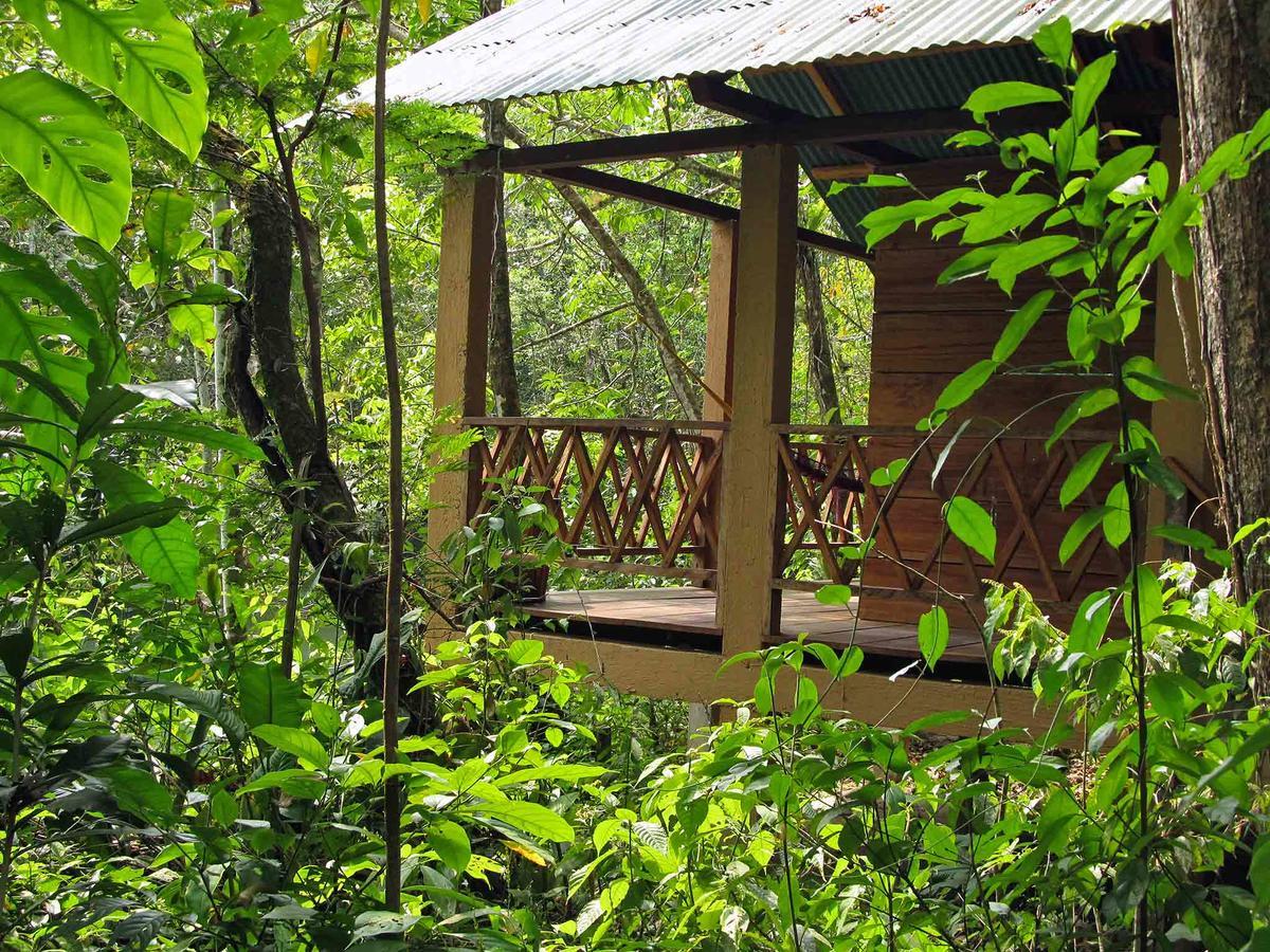 Campamento Rio Lacanja Room photo